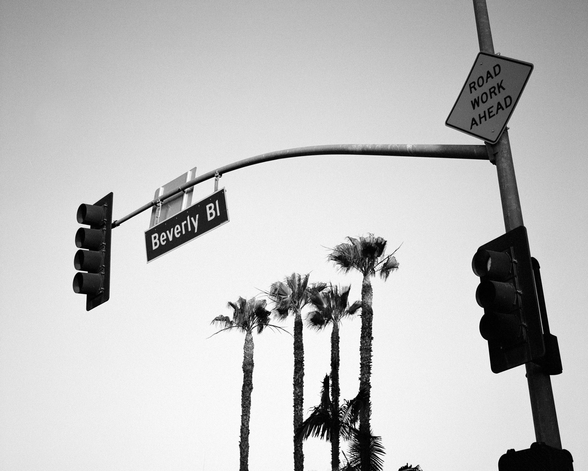 Black-and-white upward view of traffic lights, a Beverly Boulevard street sign and palm trees in Los Angeles.